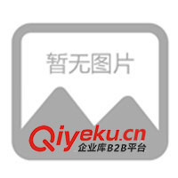 廣州市柴油發(fā)電機組政府采購，重慶康明斯柴油發(fā)電機組(圖)